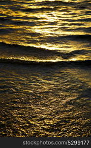 in thailand water south china sea kho tao bay abstract of a gold orange line