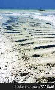 in the blue lagoon relax of zanzibar africa coastline boat pirague