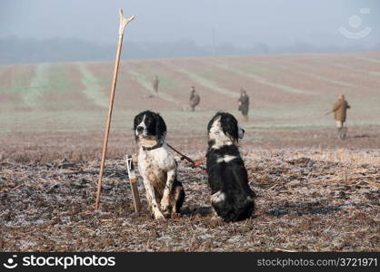 In the Countryside