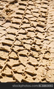 in the desert beach track of car and truck in the sand like abstract background