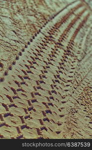 in the desert beach track of car and truck in the sand like abstract background