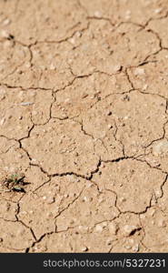 in the desert the dry ground like background texture