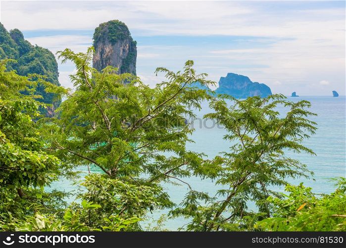 in the foreground a sprawling tree, a view of the Andaman Sea and rocks