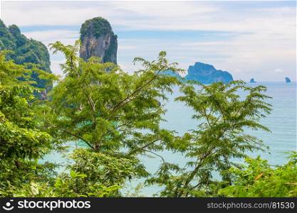 in the foreground a sprawling tree, a view of the Andaman Sea and rocks