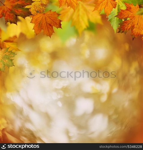 In the forest, abstract autumnal backgrounds for your design