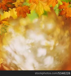 In the forest, abstract autumnal backgrounds for your design
