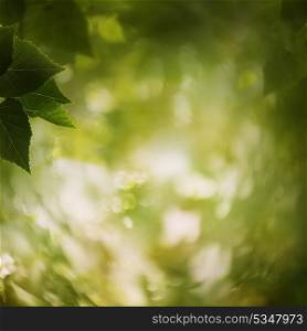 In the forest, abstract natural backgrounds for your design