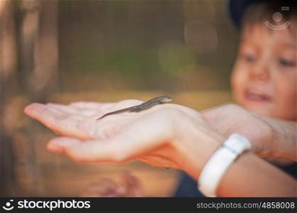 In the forest. Mother and her little son find lizard in the forest