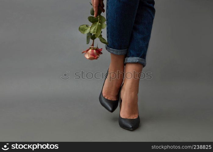 In the hand of a stylish girl a pink rose, a girl&rsquo;s legs in jeans and black high-heeled shoes around a dark background with copy space.. Legs of a woman in jeans and black high-heeled shoes next to a girl&rsquo;s hand holds a pink rose around a dark background with space for text. Beautiful modern composition