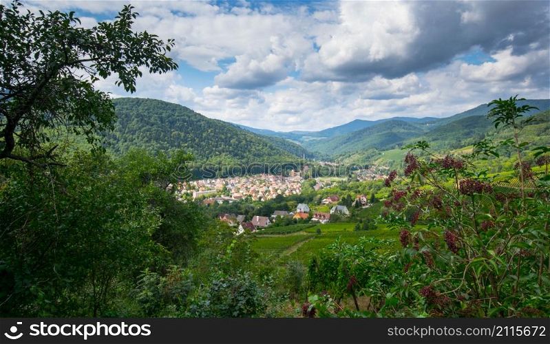 In the heights of Kaysersberg in the Vosges mountains in france