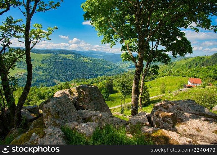 In the heights of La Bresse in the Vosges mountains in France