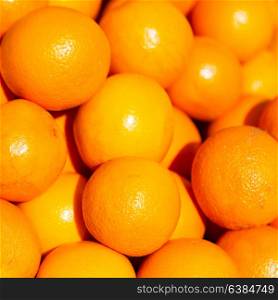 in the market lots of fresh orange like healty food concept