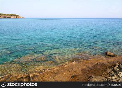 in the mediterranean see turkey europe pine plant and tree
