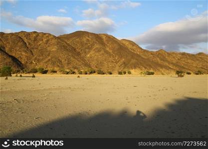 in the middle of the desert rock and track like concept of wild and nature scenic land 
