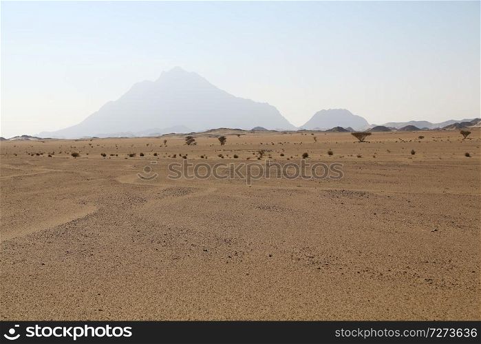 in the middle of the desert rock and track like concept of wild and nature scenic land
