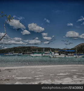 in the philippines island beautiful cosatline tree hill and boat for tourist