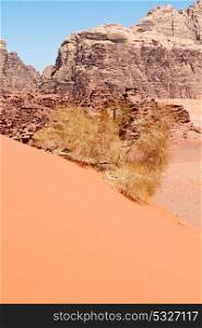 in the wadi rum desert of jordan sand and mountain adventure destination