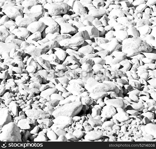 in the white and gray oman dry bush rock alone