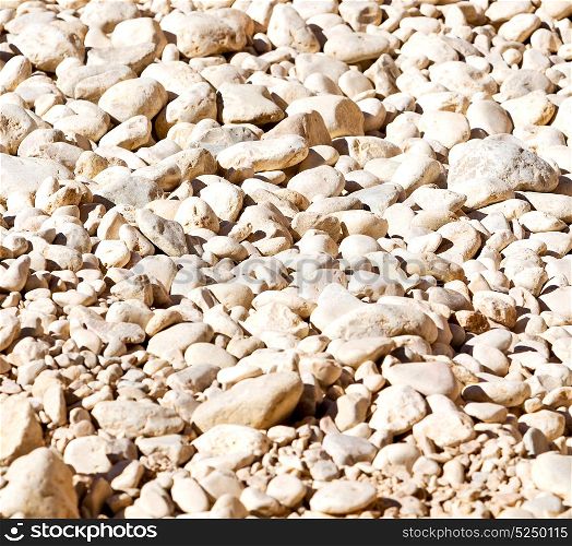in the white and gray oman dry bush rock alone