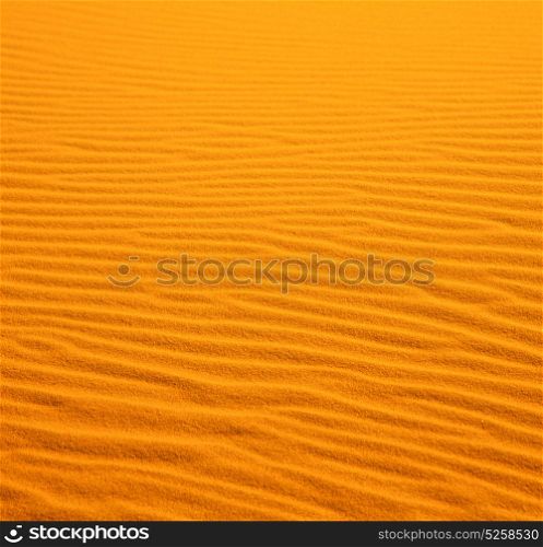 in the yellow desert of morocco lonely dune hill