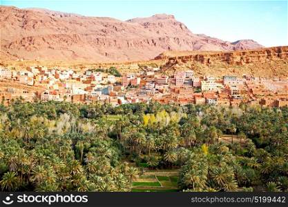 in todra gorge morocco africa and village