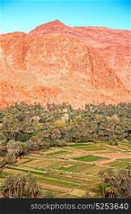 in todra gorge morocco africa and village