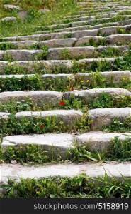 in umm quais jordan the antique abandoned stairwais with flower and grass