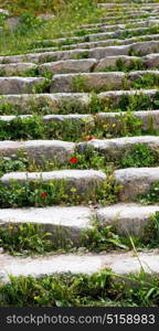 in umm quais jordan the antique abandoned stairwais with flower and grass