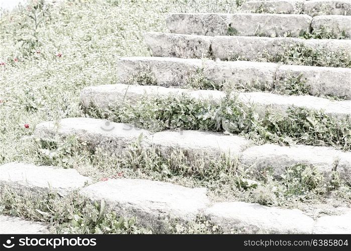 in umm quais jordan the antique abandoned stairwais with flower and grass