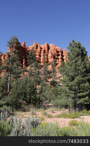 in USA bryce national park the beauty of amazing nature tourist destination