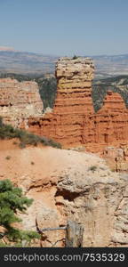 in USA bryce national park the beauty of amazing nature tourist destination