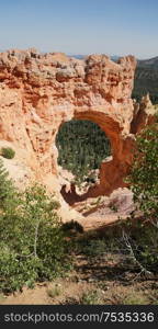 in USA bryce national park the beauty of amazing nature tourist destination