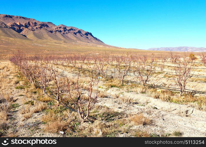 in valley morocco africa the atlas dry mountain ground isolated hill