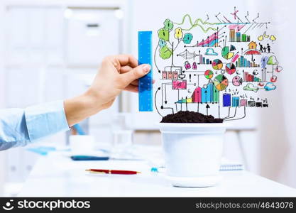 Income concept. Close-up image of human hand and pot with money tree