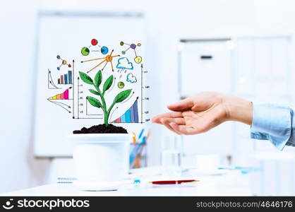 Income concept. Close-up image of human hand and pot with money tree