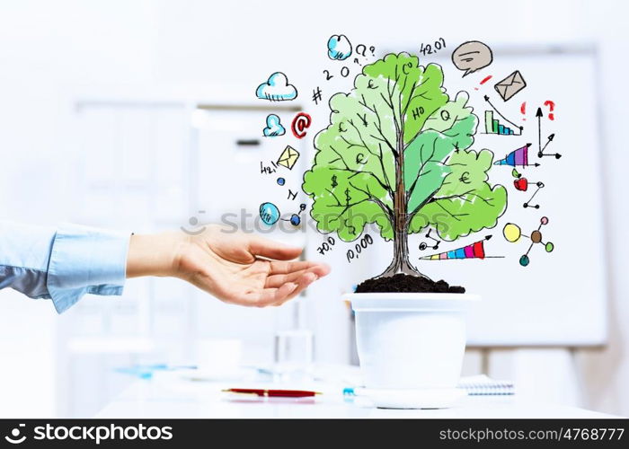 Income concept. Close-up image of human hand and pot with money tree