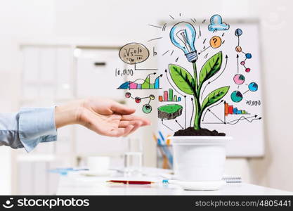 Income concept. Close-up image of human hand and pot with money tree