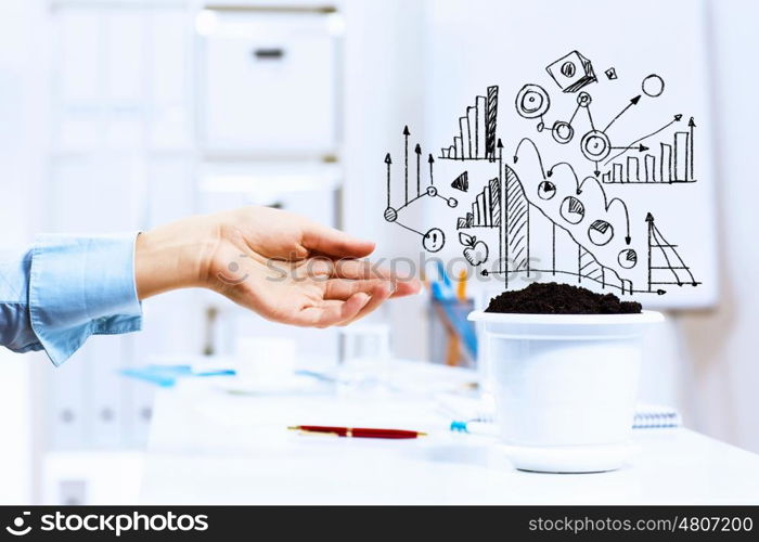 Income concept. Close-up image of human hand and pot with money tree