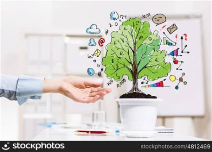 Income concept. Close-up image of human hand and pot with money tree