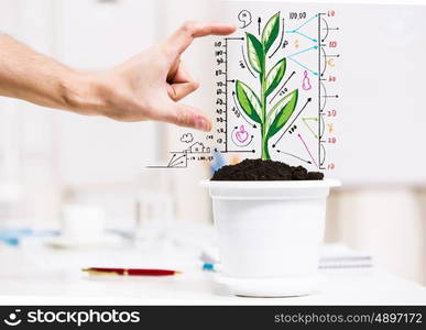 Income concept. Close-up image of human hand and pot with money tree