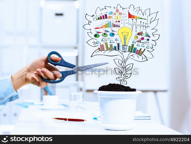 Income concept. Close-up image of human hand and pot with money tree