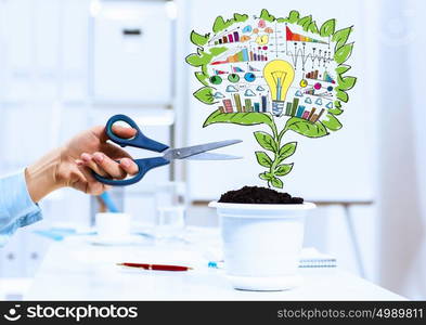 Income concept. Close-up image of human hand and pot with money tree