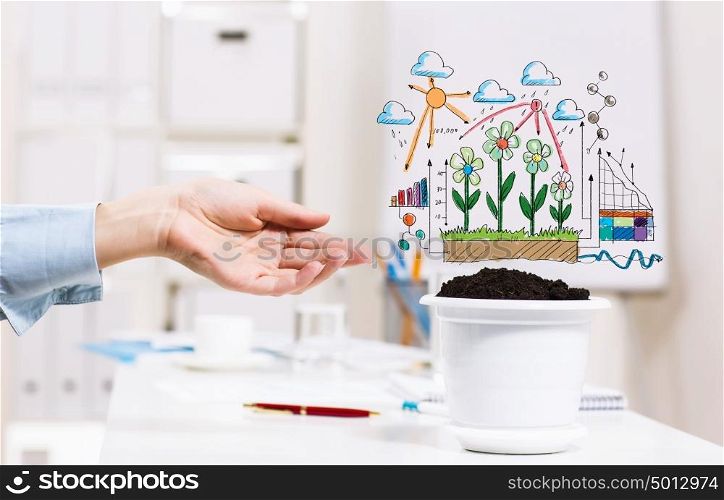 Income concept. Close-up image of human hand and pot with money tree