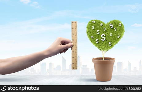 Income concept. Conceptual image of green plant in pot