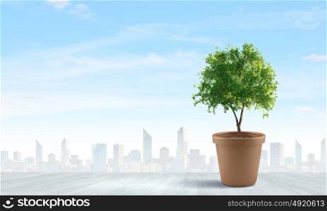 Income concept. Conceptual image of green plant in pot