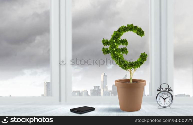 Income concept. Conceptual image of green plant in pot