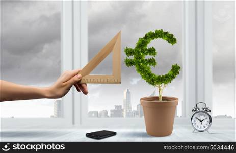 Income concept. Conceptual image of green plant in pot