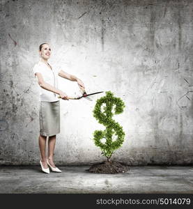 Income concept. Young attractive businesswoman cutting plant in shape of dollar