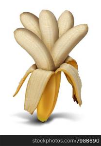 Increasing production concept and increasing crop yield as a farming and agriculture food development symbol as a peeled open banana with a group of multiple fruit flesh growing out as a metaphor for profits return and compound interest earnings.