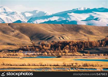 incredible landscape of the steppe area with lakes and trees smoothly turning into mountains with snow-capped peaks. Mountains Of Altai.. incredible landscape of the steppe area with lakes and trees smoothly turning into mountains with snow-capped peaks. Mountains Of Altai